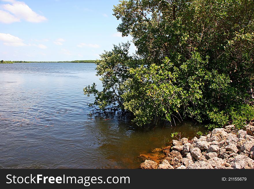 Scenic Landscape Ding Darling Wildlife Refuge Florida