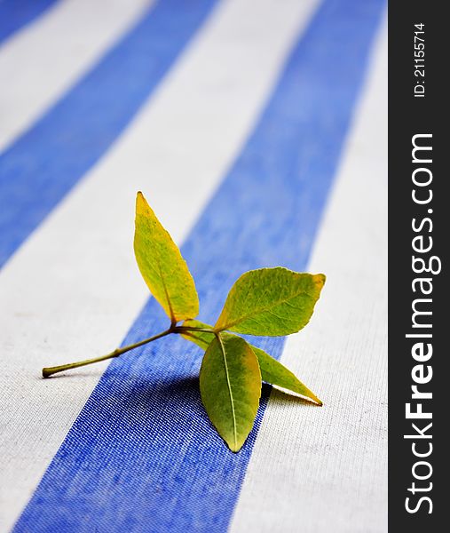 Lonely dead yellow-green leaf lying on a blue and white striped mattress - first sign of fall coming and chill coming soon. Lonely dead yellow-green leaf lying on a blue and white striped mattress - first sign of fall coming and chill coming soon.