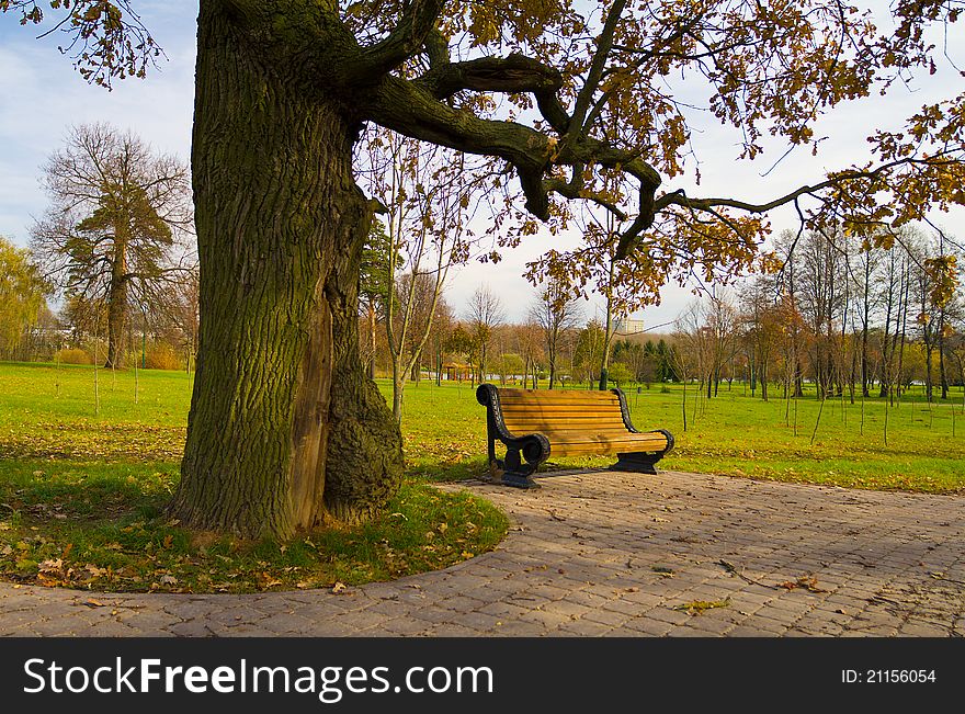Bench under oak in autumn park. Bench under oak in autumn park