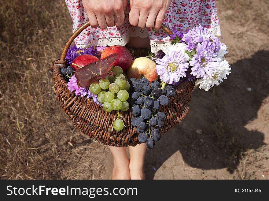 Womans hands holding a wicker basket with fruit. Womans hands holding a wicker basket with fruit.