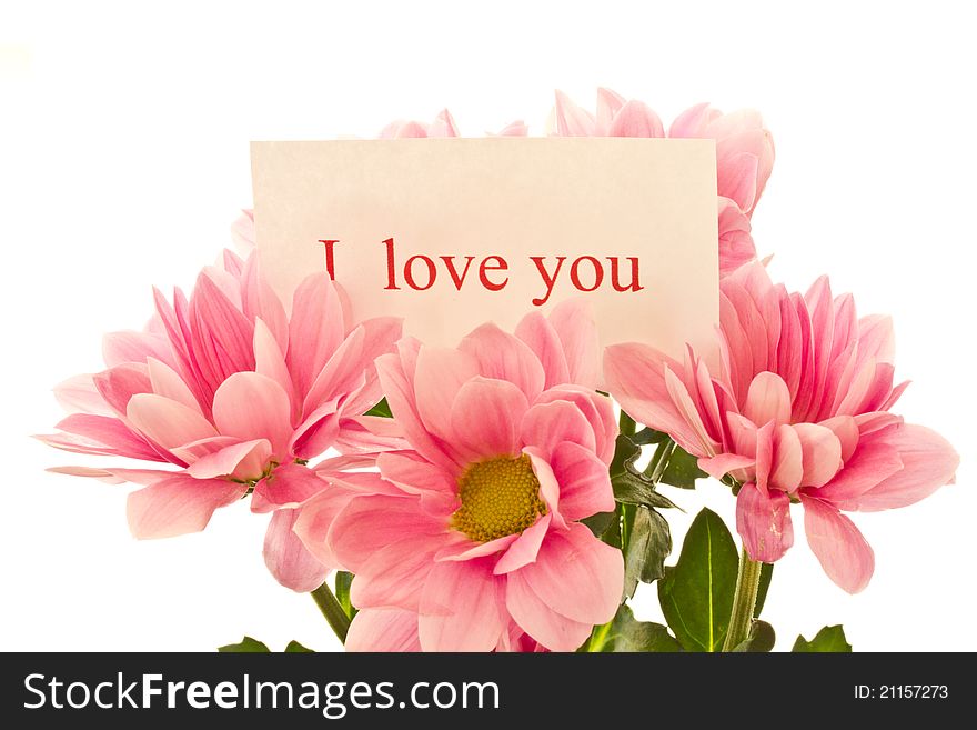 A bouquet of beautiful red flowers on a white background