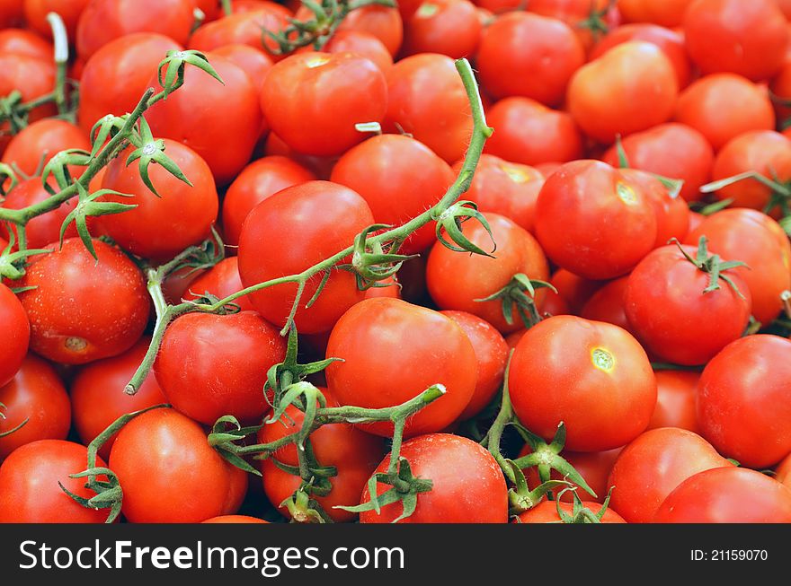 Close up of red tomatoes. Close up of red tomatoes
