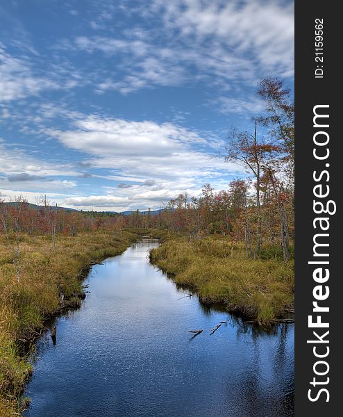 Autumn along stream in Maine