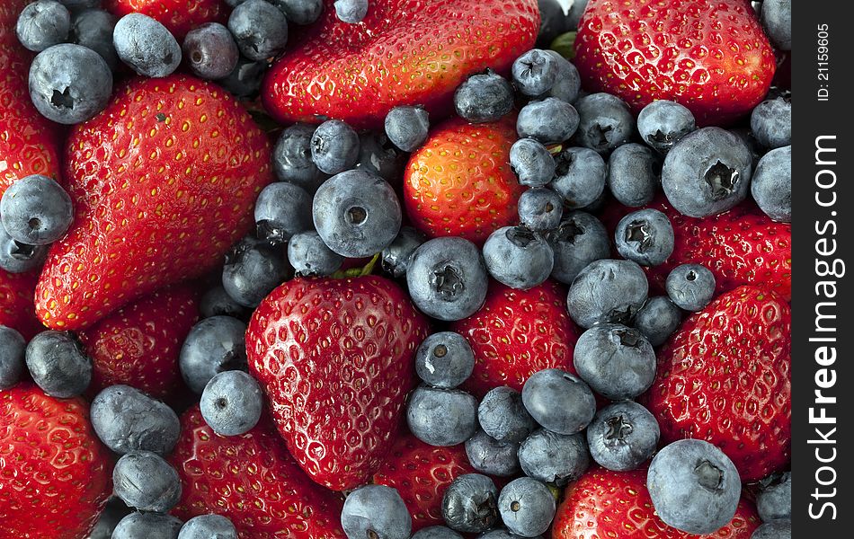 Garden strawberry, Fragaria ï¿½ ananassa with blueberries. Garden strawberry, Fragaria ï¿½ ananassa with blueberries