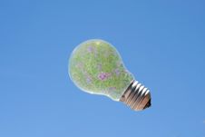 Light Bulb With Flower Inside Royalty Free Stock Photos