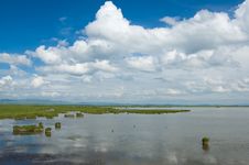 Scenery Of Tibetan Plateau Stock Images Scenery Of Tibetan Plateau Stock Images
