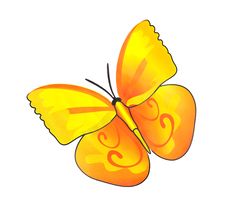 Paint Watercolor Butterfly Royalty Free Stock Images