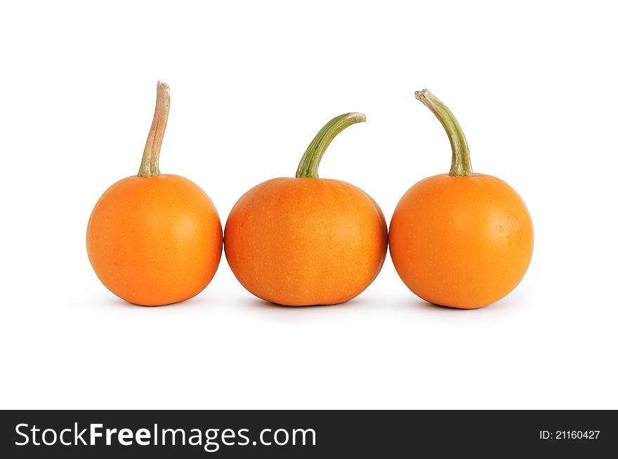 Three ordinary pumpkins standing in a row on white background. Isolated with clipping path. Three ordinary pumpkins standing in a row on white background. Isolated with clipping path