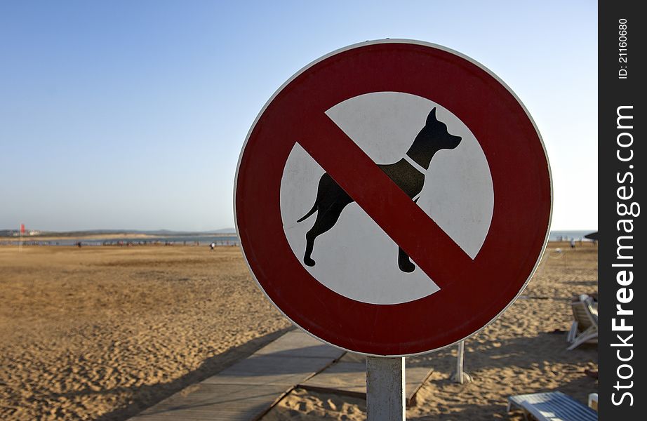 No dogs on the beach