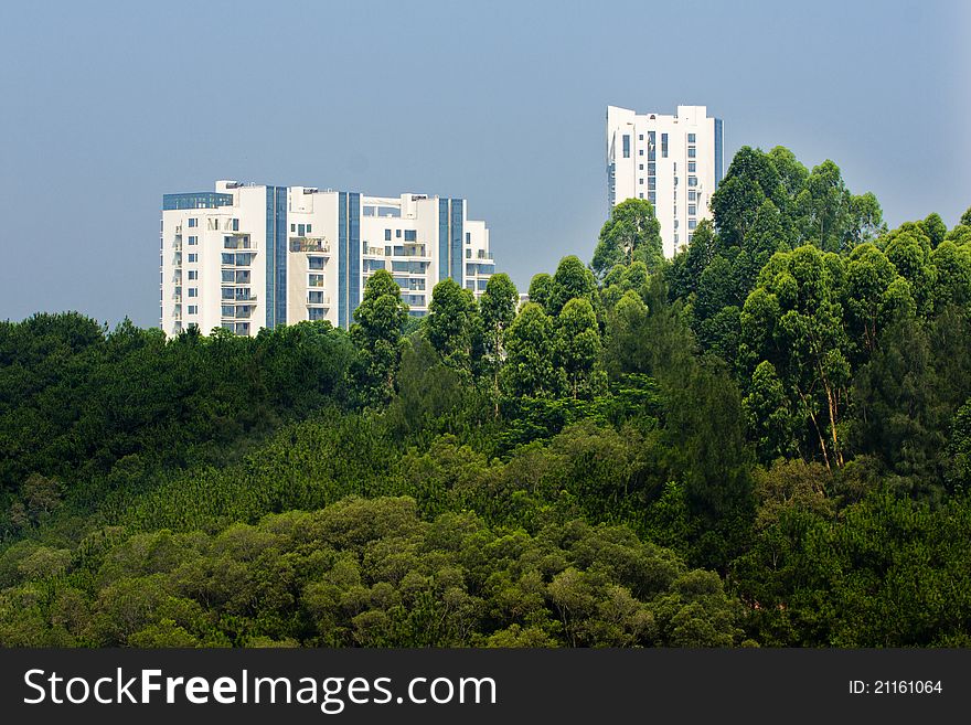 China,modern flat by the forest. China,modern flat by the forest.