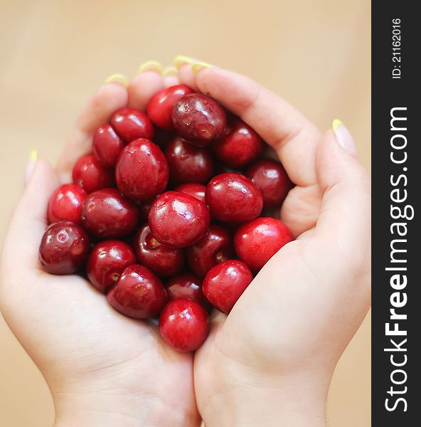 Cherry In The Hands