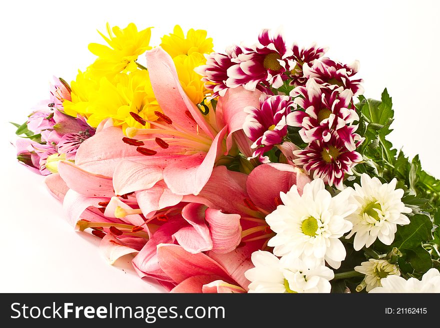 Beautiful multi-colored flowers on a white background. Beautiful multi-colored flowers on a white background