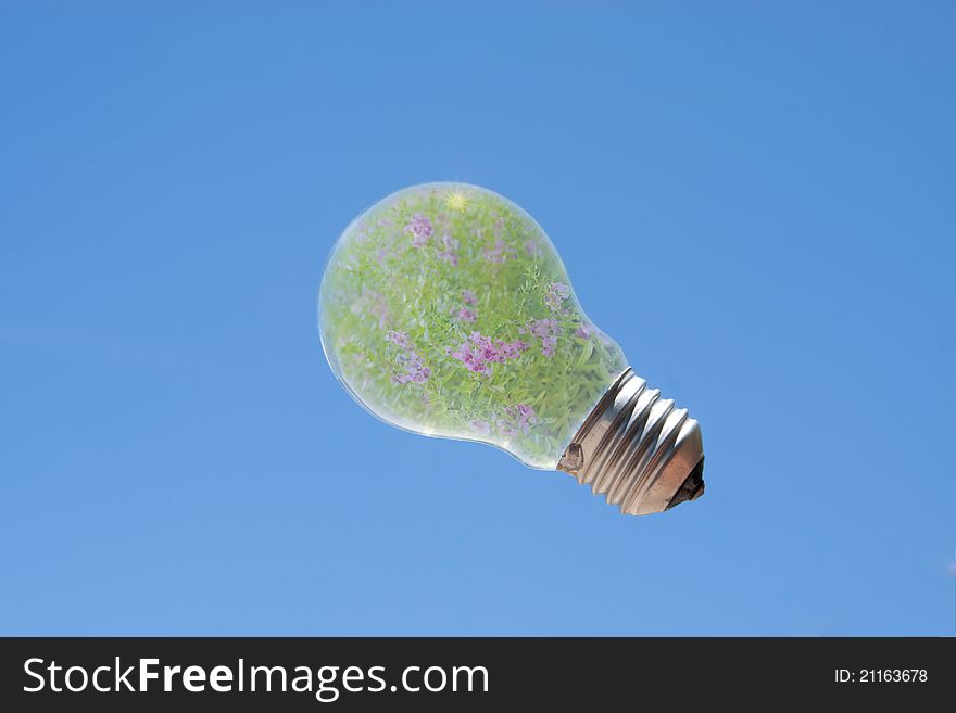 Light bulb with flower inside