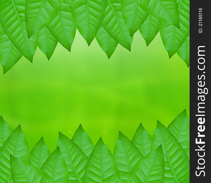 Green leaves over abstract background