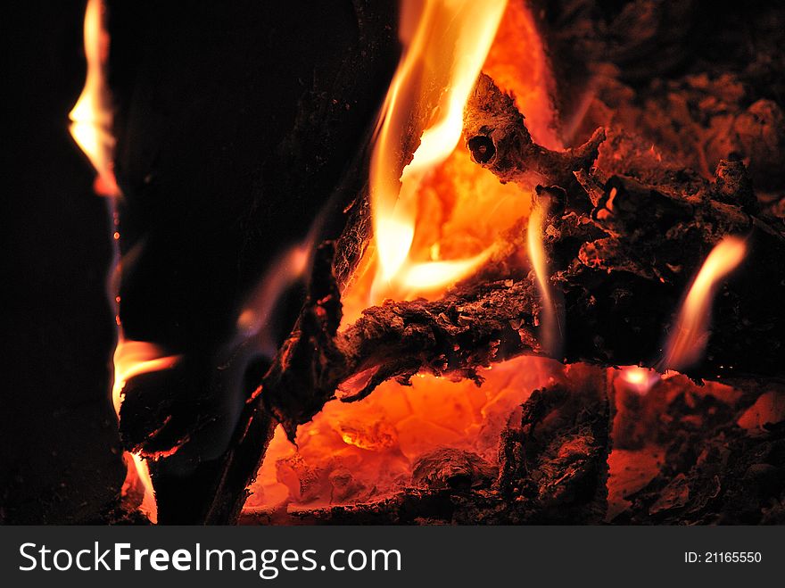 Glowing fire in the free camping and tent