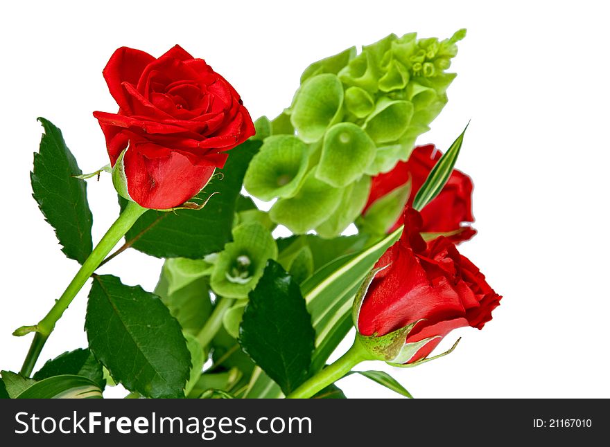 Beautiful bucket of red roses isolated on white