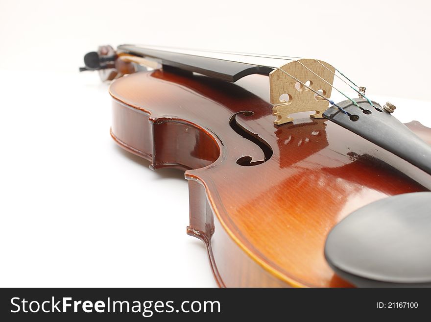 String instrument  violin on white background