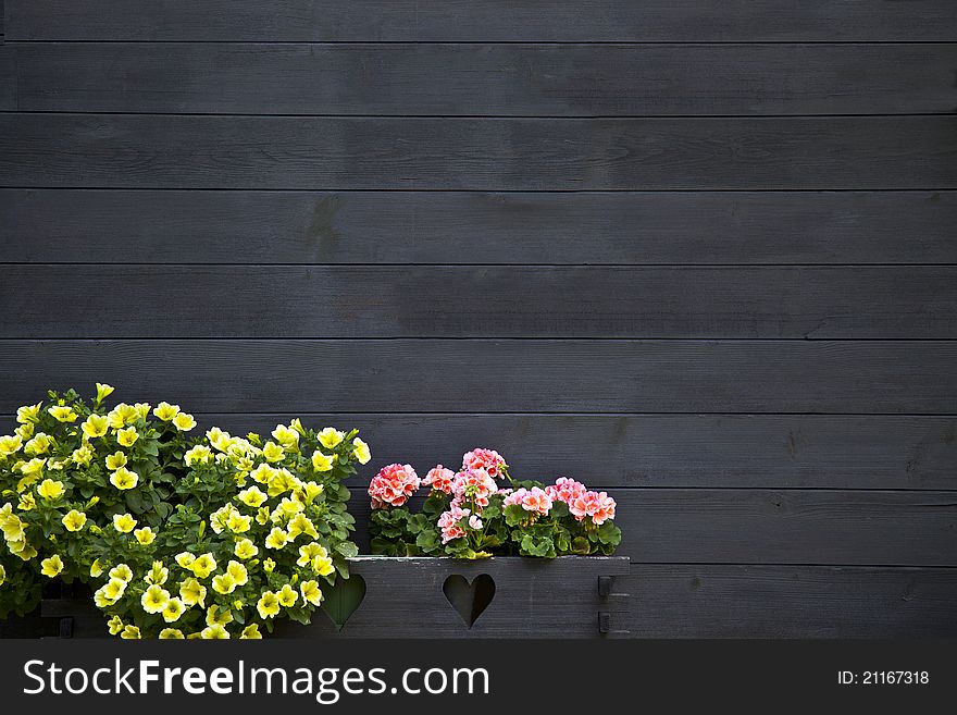 Dark Wooden Wall With Flowers