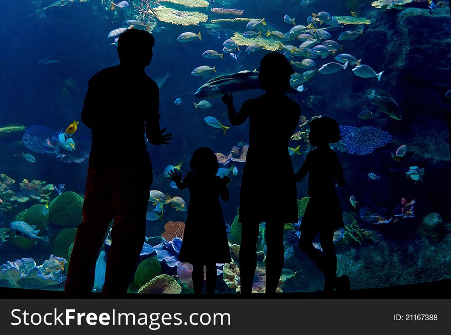 Family looking at underwater world in aquarium. Family looking at underwater world in aquarium