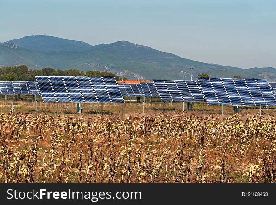 Photovoltaic panels in the country and field of sunflowers