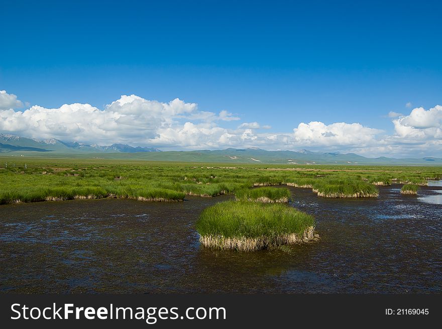 Huahu lake and plateau wetland, it is the beautiful natural scenery of qinghai-tibet plateau, Gansu China. Qinghai-tibet plateau is the highest and biggest plateau in the world. Huahu lake and plateau wetland, it is the beautiful natural scenery of qinghai-tibet plateau, Gansu China. Qinghai-tibet plateau is the highest and biggest plateau in the world.