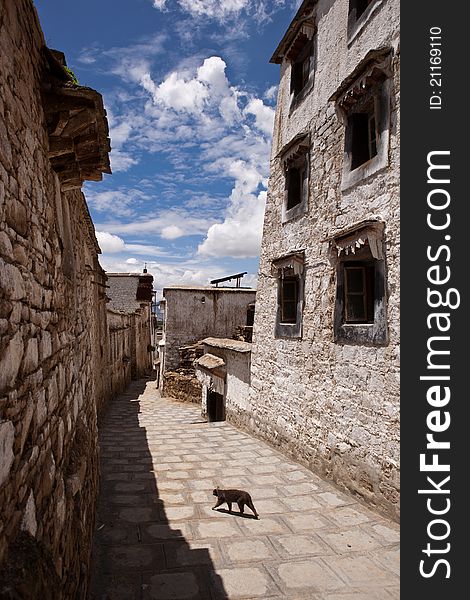 The Sera Monastery at the foot of Tatipu Hill is located in the northern suburb of Lhasa,It is one of three famous monasteries in Lhasa. The Sera Monastery at the foot of Tatipu Hill is located in the northern suburb of Lhasa,It is one of three famous monasteries in Lhasa