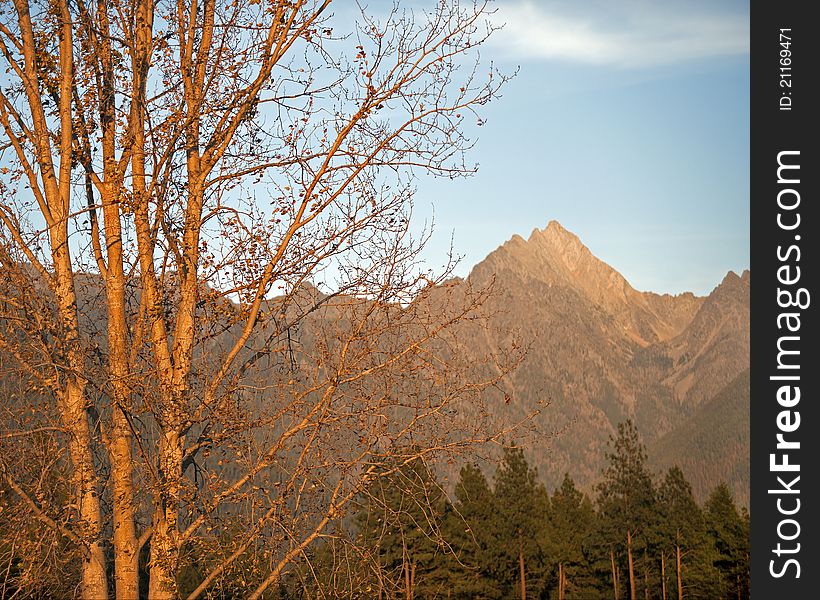 Canadian Rockies and Mt. Fisher. Canadian Rockies and Mt. Fisher