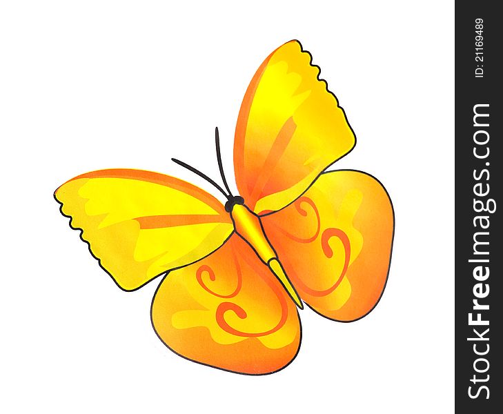 Paint watercolor butterfly on white background