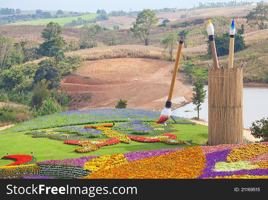 Field of flower on mountain in Thailand