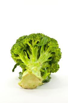 Fresh Broccoli On White Background Stock Photography Fresh Broccoli On White Background Stock Photography