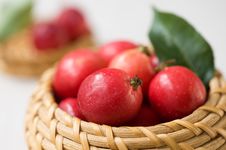 Apples In The Basket Stock Photography Apples In The Basket Stock Photography