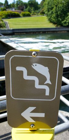 Fish Ladder Sign In A Park Stock Image Fish Ladder Sign In A Park Stock Image