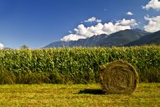 Countryside Stock Photo Countryside Stock Photo