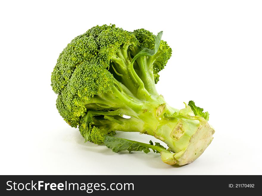 A green broccoli isolated on white background