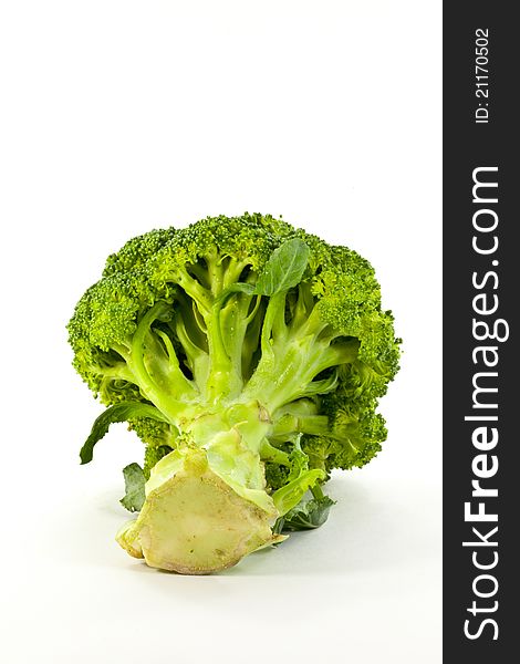 Fresh broccoli on white background