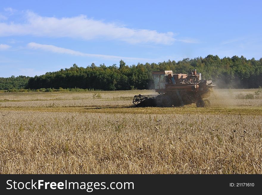 Combine in the field on cleaning of a ripe rye