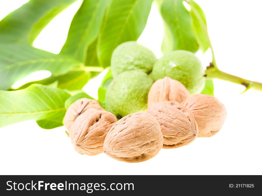 Yellow mature walnuts, together with about still green nuts (focus on the foreground - the first nut, on a light background, small depth of sharpness)