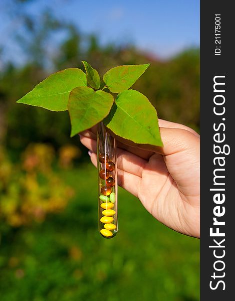 Test tube with different multicolored tablets, currant berries and plant outdoors in garden. Test tube with different multicolored tablets, currant berries and plant outdoors in garden