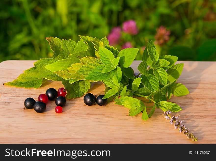 Red and black currants with green leaves and mint on a light wooden board. selection for herbal tea. Red and black currants with green leaves and mint on a light wooden board. selection for herbal tea