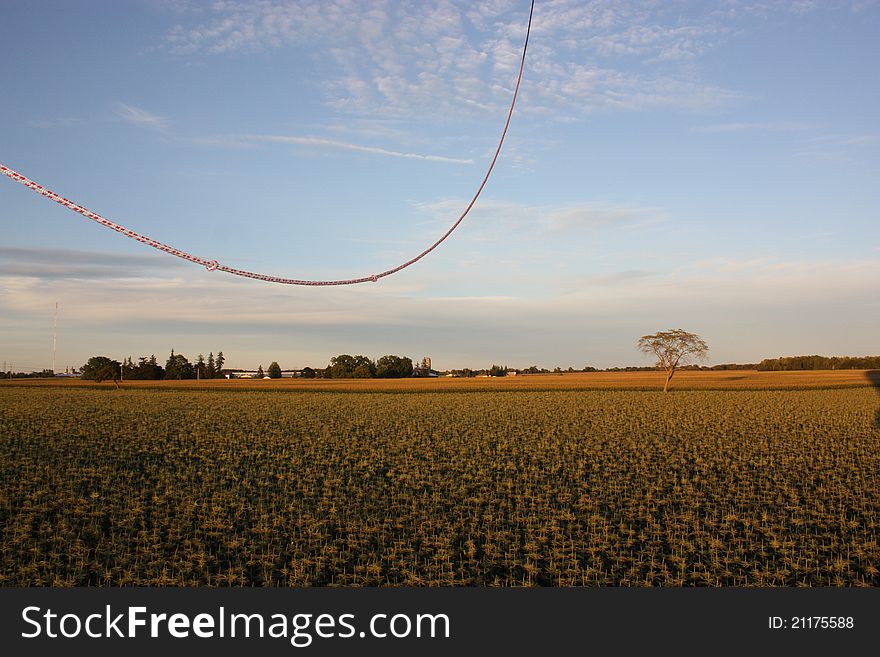 Balloon Landing in Farmers Field