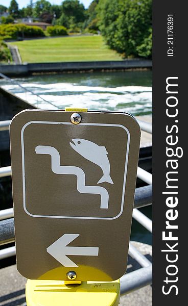 Salmon ladder signage at Hiram M. Chittenden Lock in Ballard, Washington. Salmon ladder signage at Hiram M. Chittenden Lock in Ballard, Washington