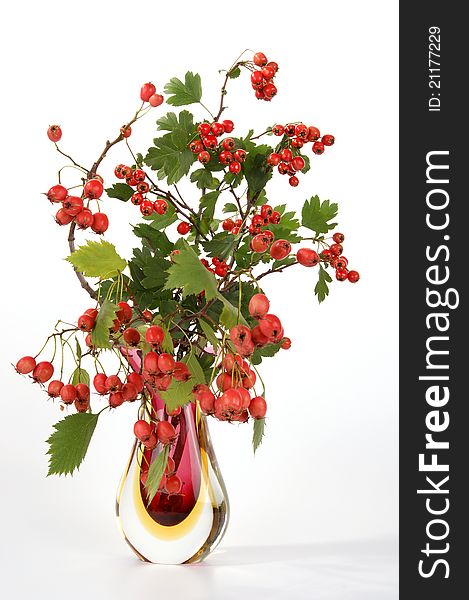Autumn bouquet with berries of hawthorn in a glass vase on a white background