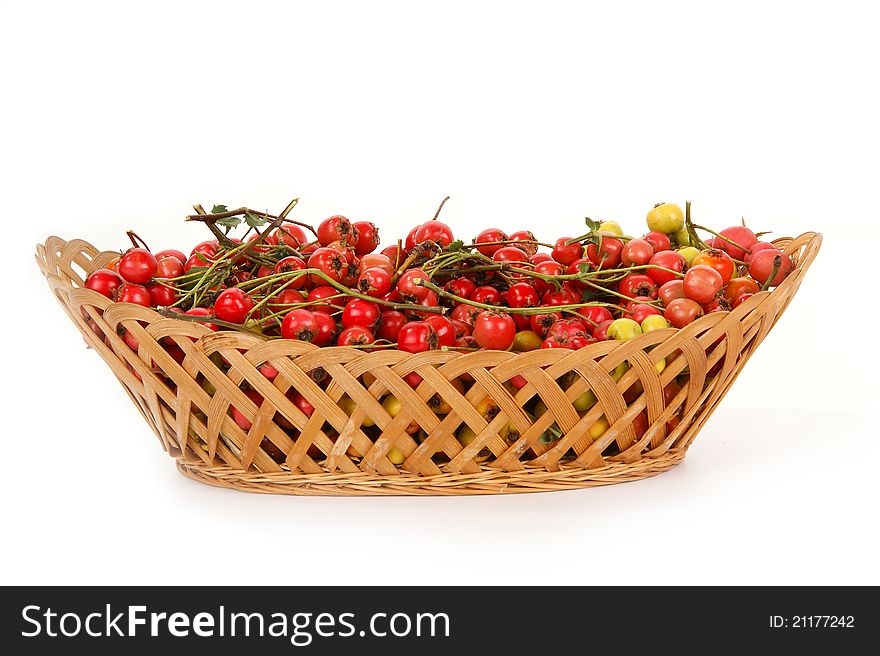 Hawthorn Berries In A Wicker Basket