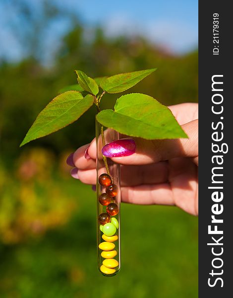 Test tube with different multicolored tablets, currant berries and plant outdoors in garden. Test tube with different multicolored tablets, currant berries and plant outdoors in garden