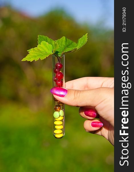 Test tube with different multicolored tablets, currant berries and plant outdoors in garden. Test tube with different multicolored tablets, currant berries and plant outdoors in garden