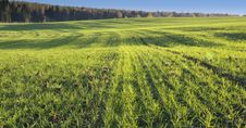 Green Field Stock Photography Green Field Stock Photography