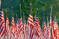 Flags In The Healing Fields For 9/11 Royalty Free Stock Photography