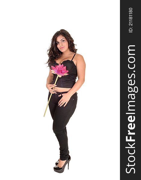 An teenager standing in the studio in black jeans and corset with a pink lily in her hand, with long black curly hair for white background. An teenager standing in the studio in black jeans and corset with a pink lily in her hand, with long black curly hair for white background.