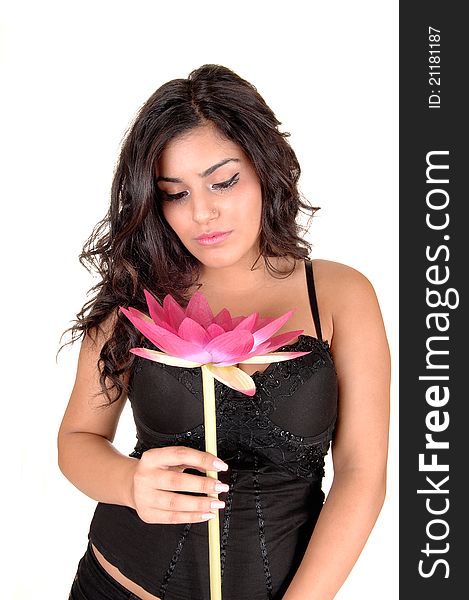A lovely teenager with long black curly hair and a pink lily in her hand, wearing a black corset and looking at her flower, for white background. A lovely teenager with long black curly hair and a pink lily in her hand, wearing a black corset and looking at her flower, for white background.