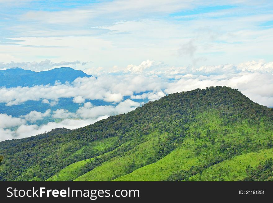 Misty hill looked from view point. Misty hill looked from view point